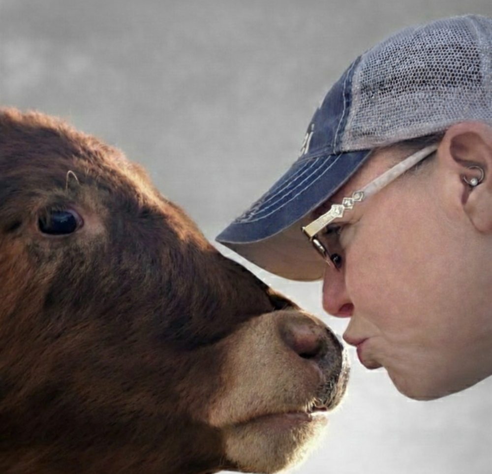 Allison, in a ball cap, touching noses with a brown calf